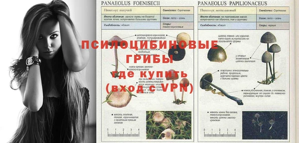 мескалин Аркадак