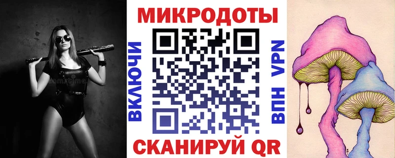закладка  Питкяранта  Галлюциногенные грибы Magic Shrooms 